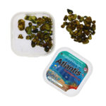 Atlantis Magic Truffels kopen
